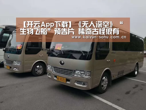 开云体育下载