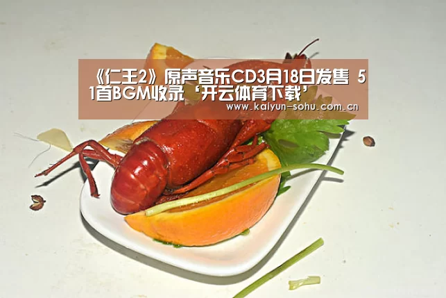 《仁王2》原声音乐CD3月18日发售 51首BGM收录‘开云体育下载’(图1) 开云体育下载