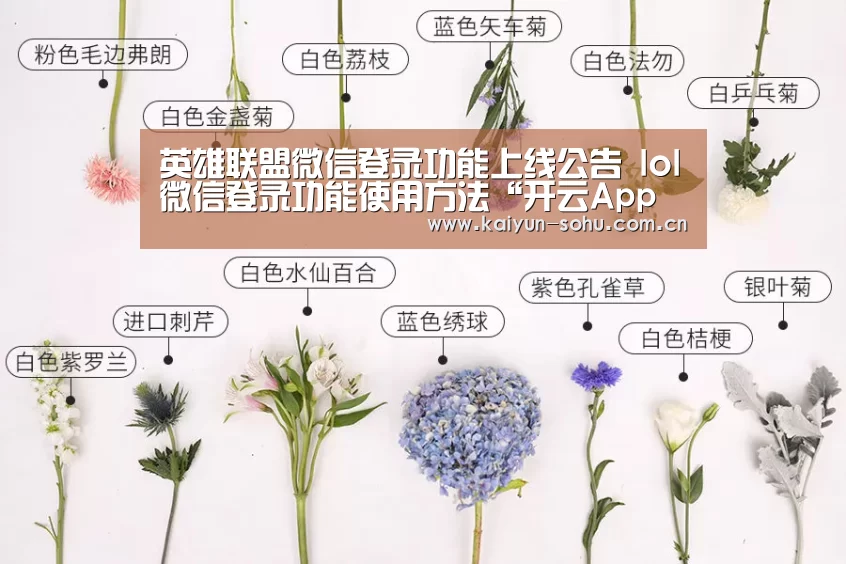 开云体育下载